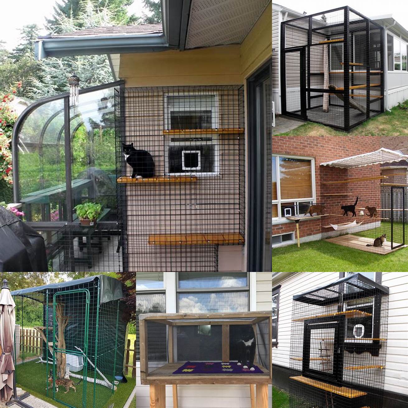 Accessibility Make sure the enclosure is easy to access for both you and your cat especially if you have an older or disabled pet
