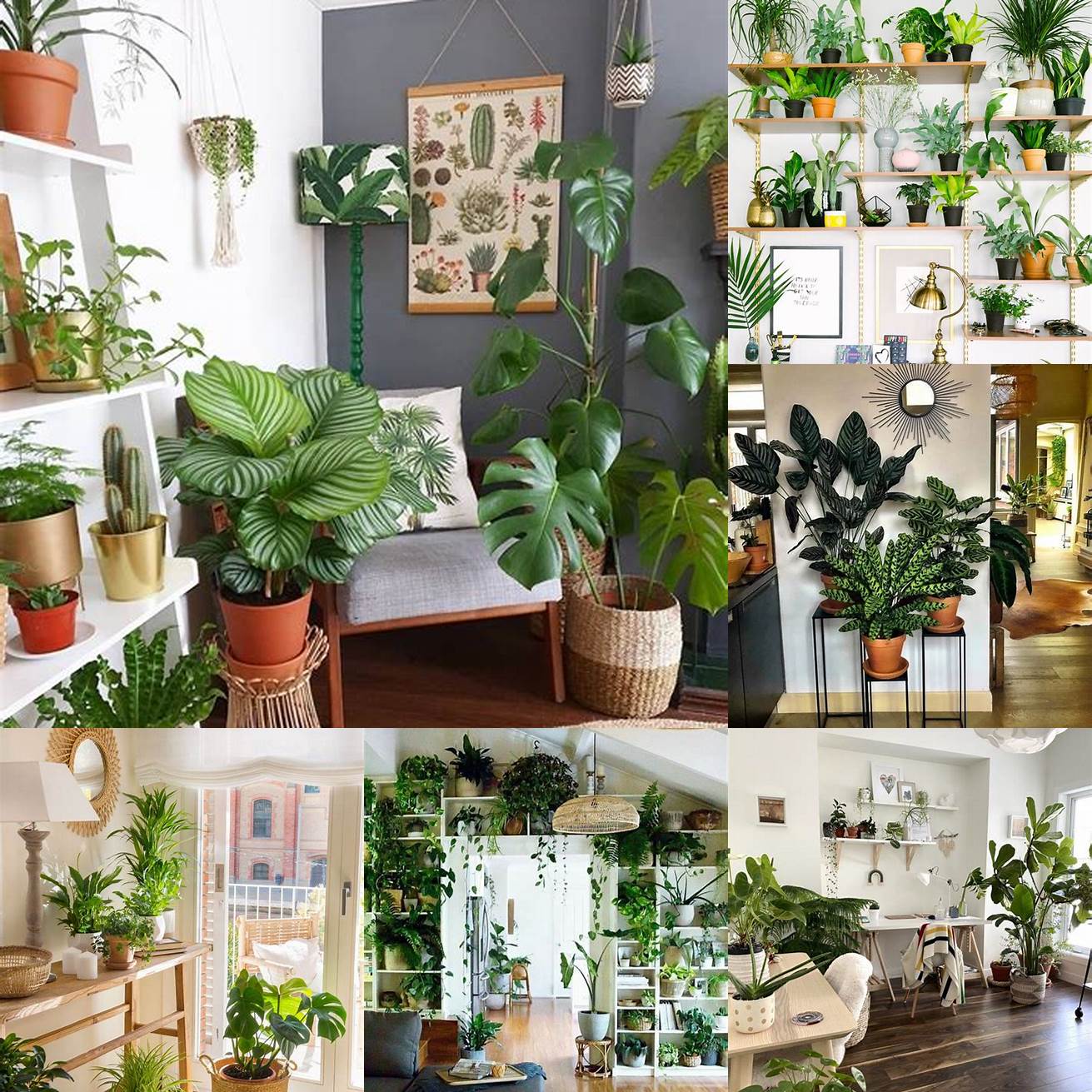 Accessorize with plants