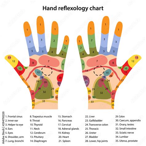 Acupuncture Points Hand Chart