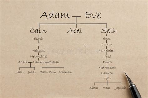 Adam And Eve Family Chart