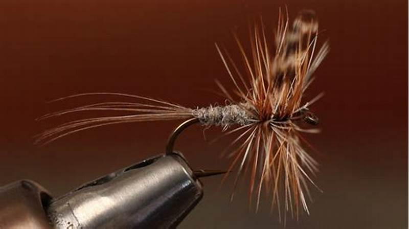 Adams Fly Pattern