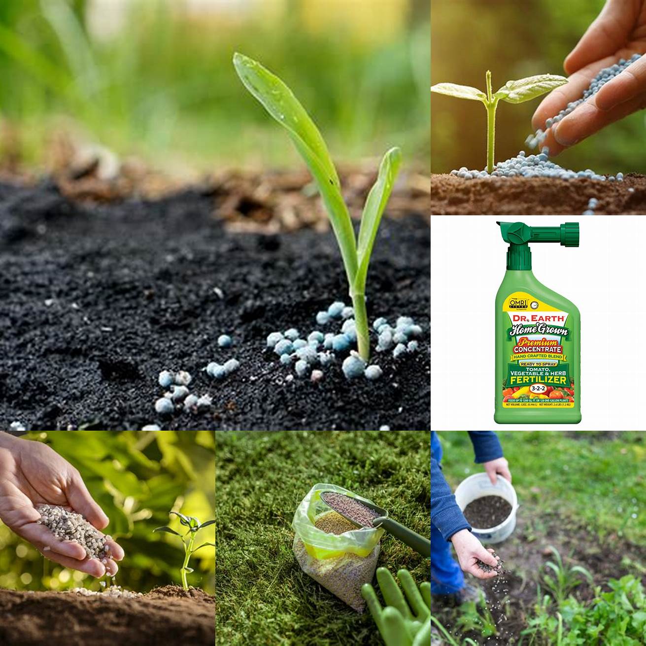 Add Fertilizer Add fertilizer as needed