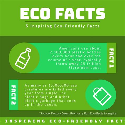 Adobe Express Infographic Templates