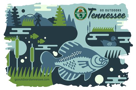 Age and Fishing License Fees in Tennessee