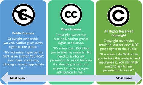 All Rights Reserved license in packagejson