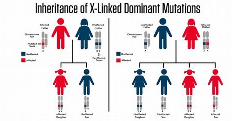 Als Inheritance Pattern
