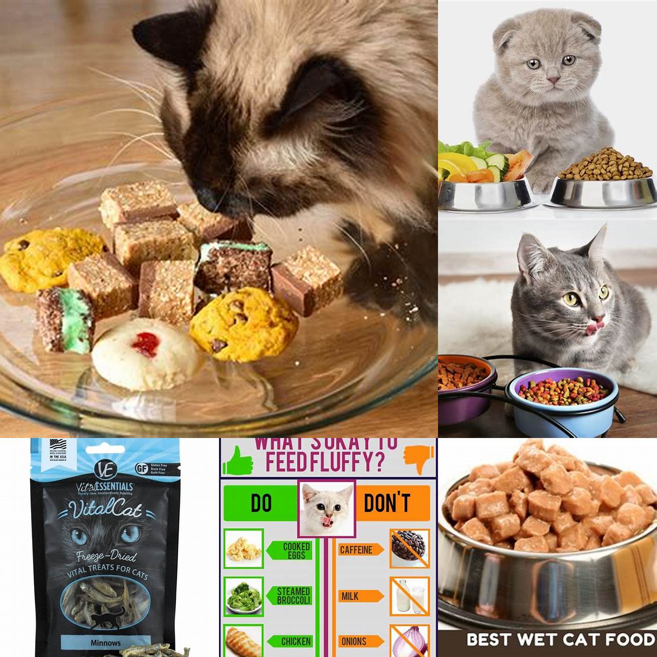 Alternative Snacks for Your Cat