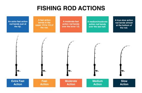 Amazon Fishing Rod Action