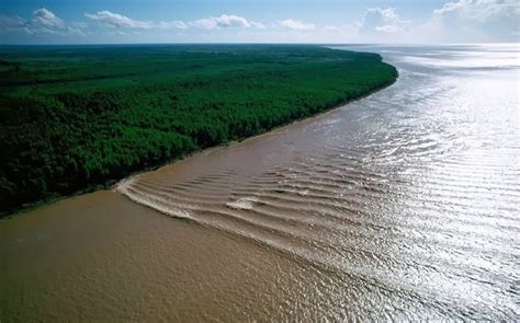 Amazon River Tidal