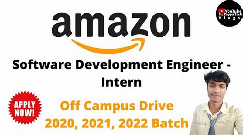Amazon Software Development Engineer Intern Salary