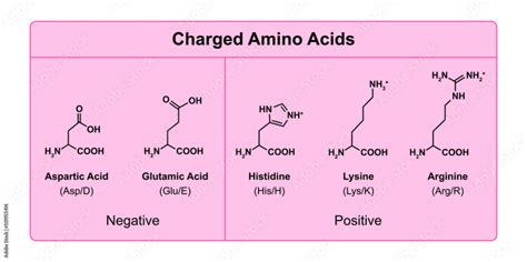 Amino Acid Charge Chart