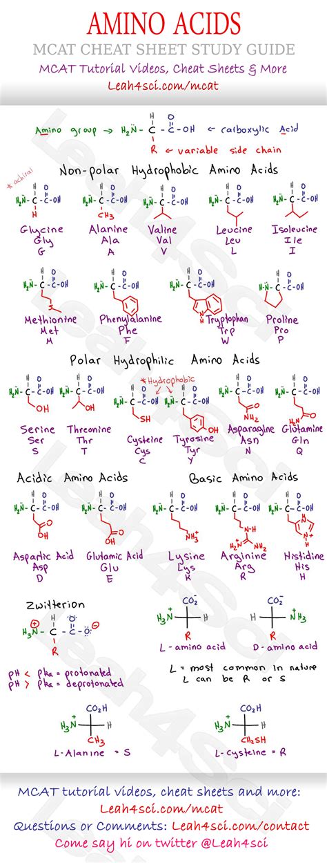 Amino Acid Chart Mcat