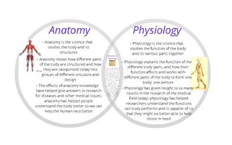 Physiology Examples