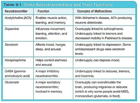 Ap Psych Neurotransmitters Chart