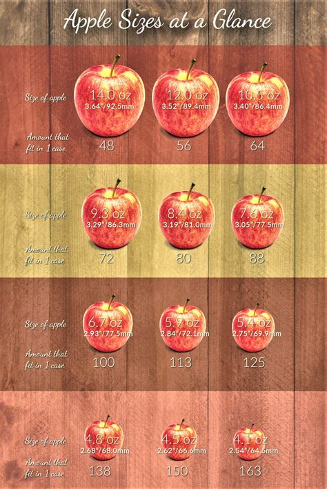 Apple Size Chart