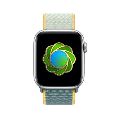 Apple Watch environment