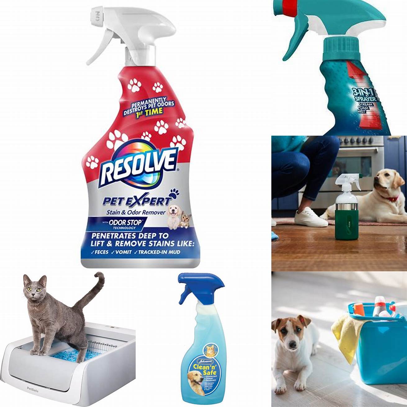 Apply a pet-safe cleaning solution to the affected area