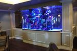 Aquarium Full House