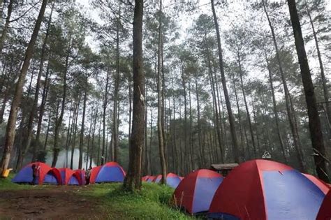 Area Berburu Bakat Lembang Camping Ground