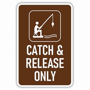 Arizona catch-and-release rules
