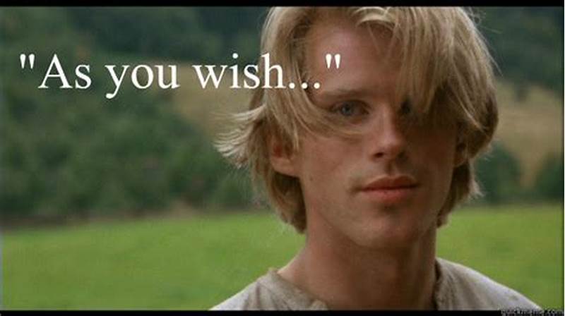 As You Wish Meme Princess Bride