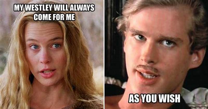 As You Wish Princess Bride Meme