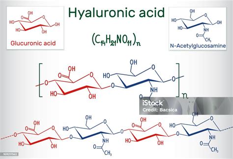Asam Hialuronat