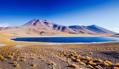 Atacama Desert Experience