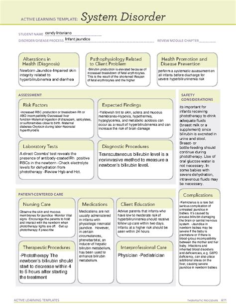 Ati System Disorder Template Pathologic Jaundice In Newborn