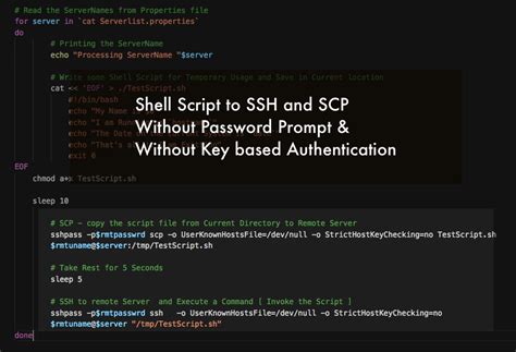 Automatically enter SSH password with script