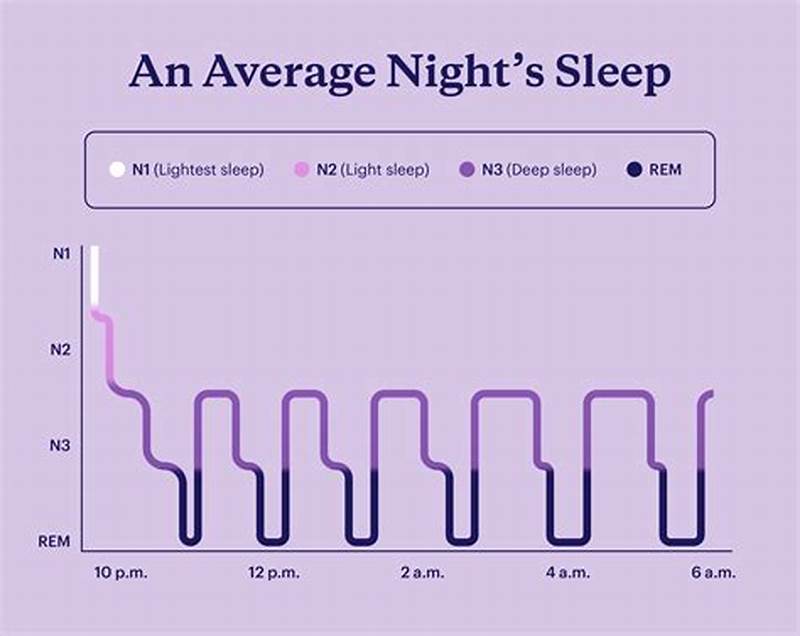 Average Sleep Pattern