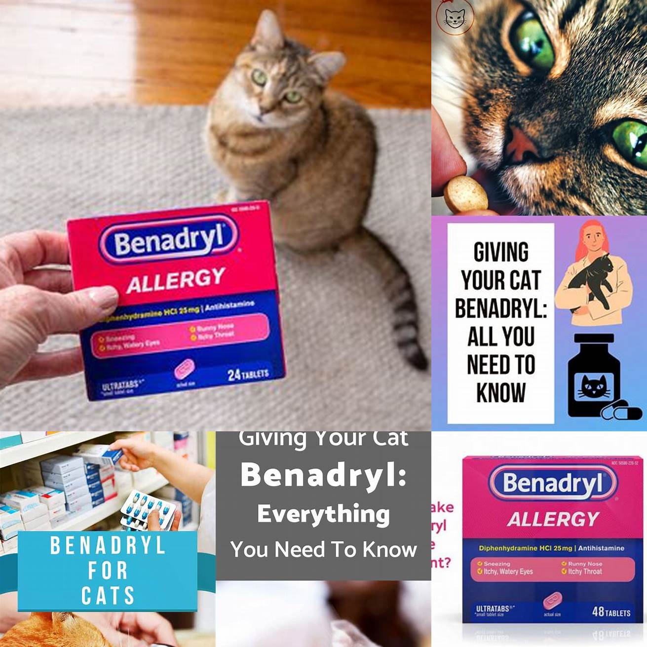 Avoid Giving Benadryl to Pregnant or Nursing Cats