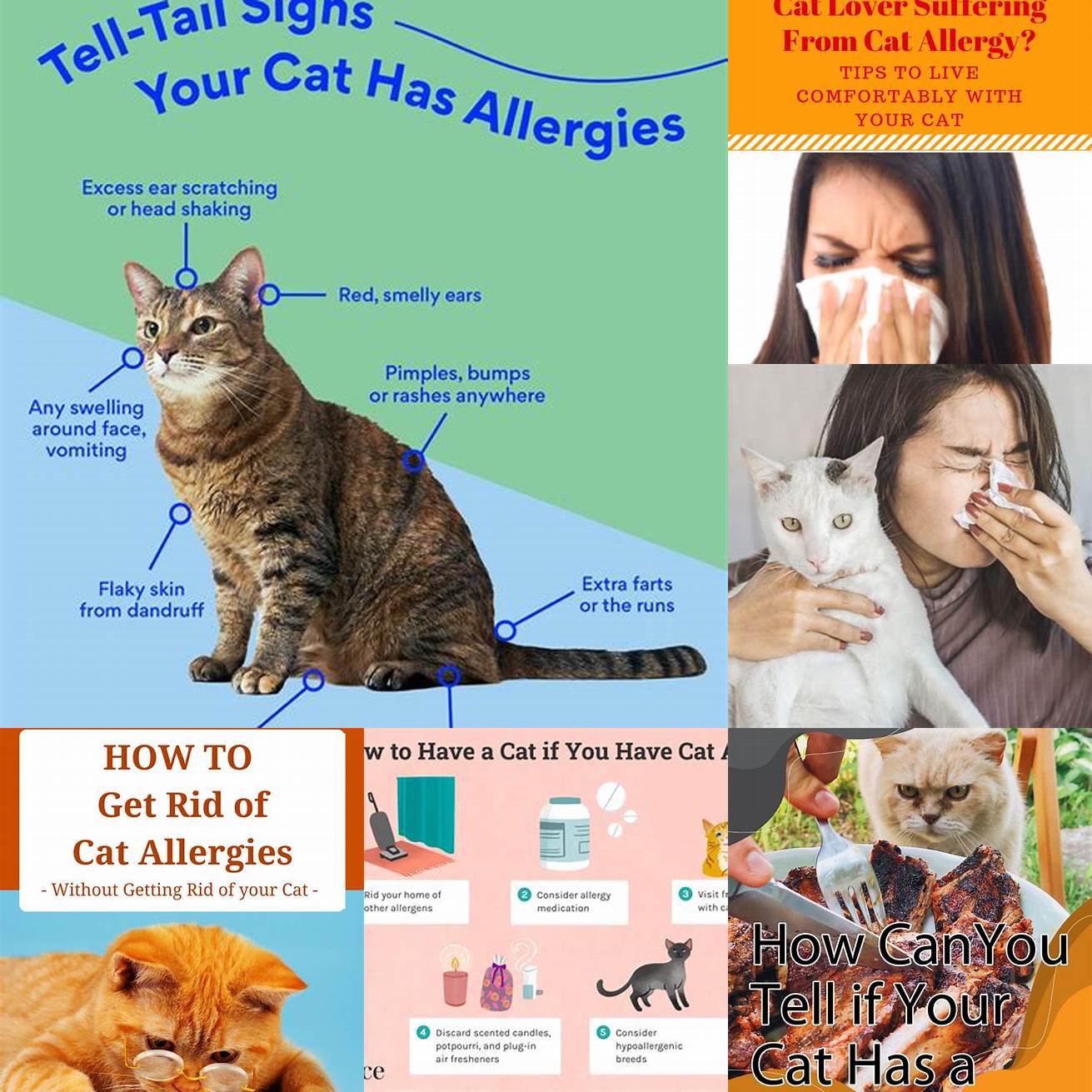 Avoid exposing your cat to allergens