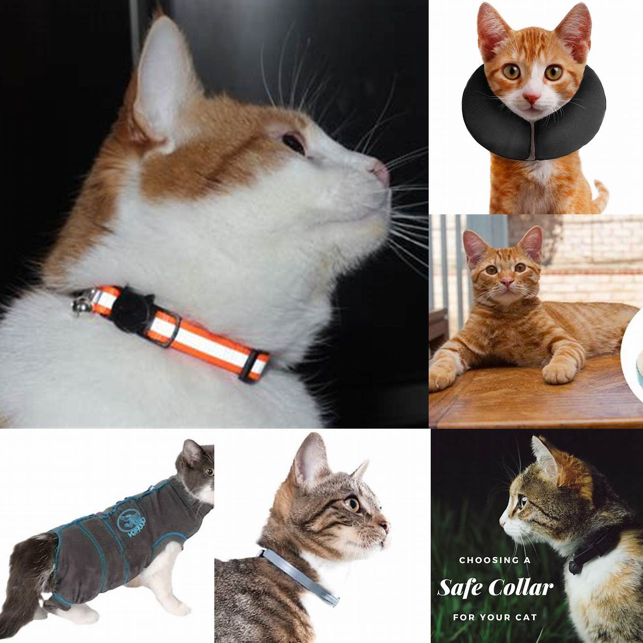 Avoid tight clothing or collars on your cat