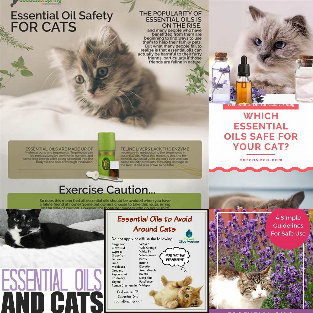 Avoid using concentrated essential oils around your cat