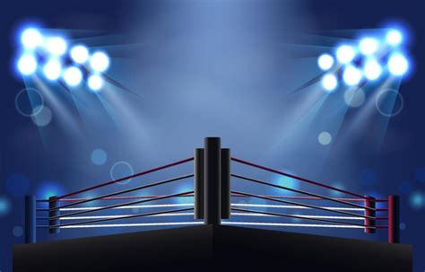 Awesome Boxing Ring … 