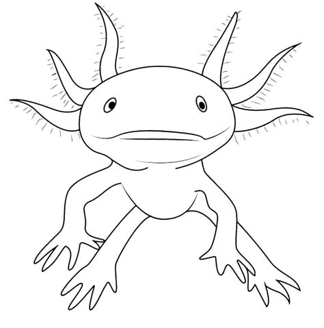 Axolotl Coloring Page Printable Free