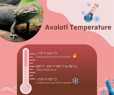 Axolotl Water Temperature Chart