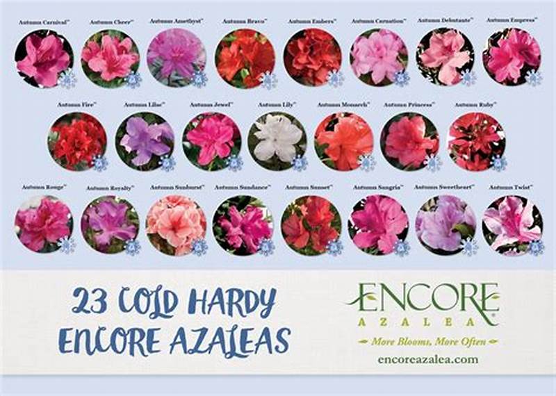 Azalea Color Chart