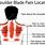 Back Under Shoulder Blade Muscle Pain