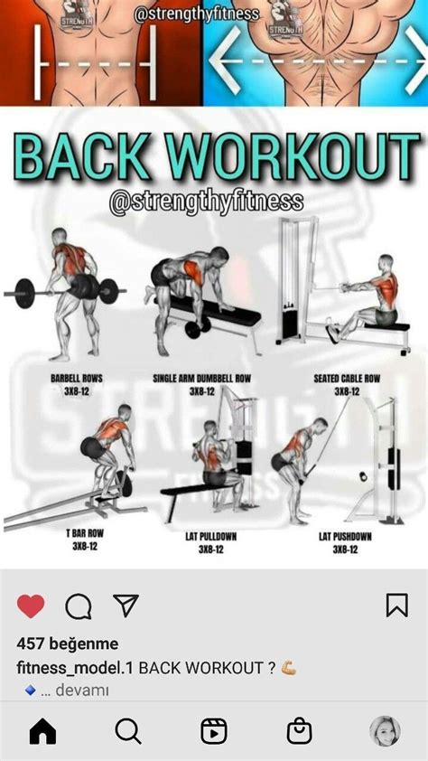 Back Workout Chart
