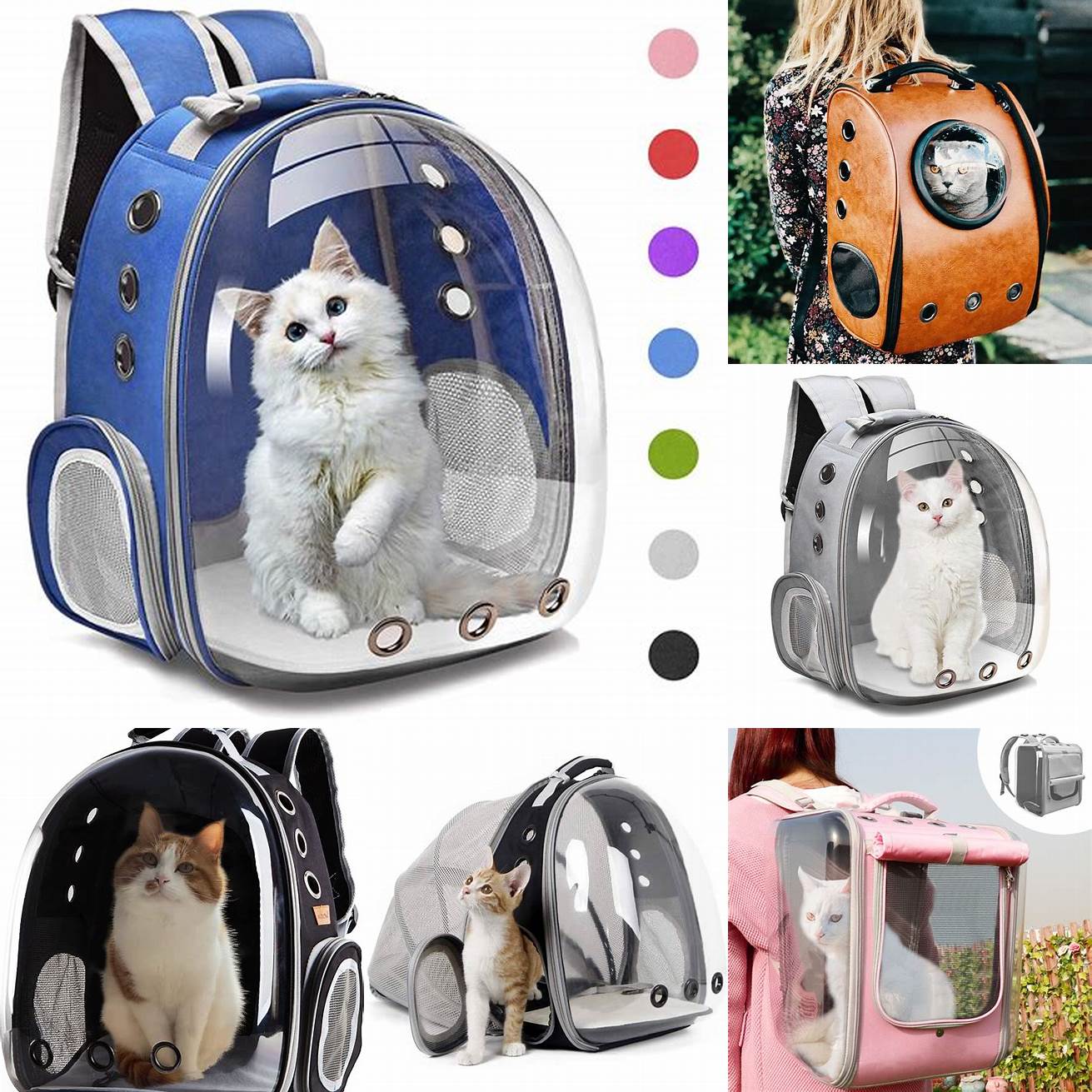 Backpack Cat Carriers