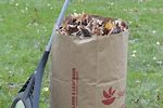 Bags for Leaf Collection