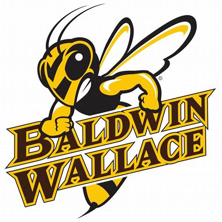 Baldwin Wallace University Accessories