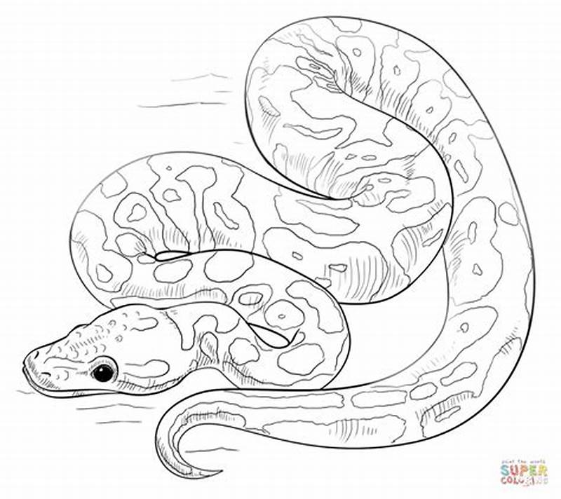 Ball Python Coloring Page