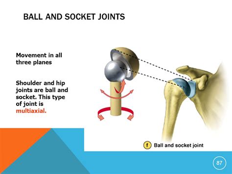 Joint Structure