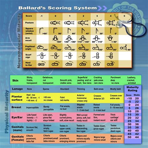 Ballard Health My Chart