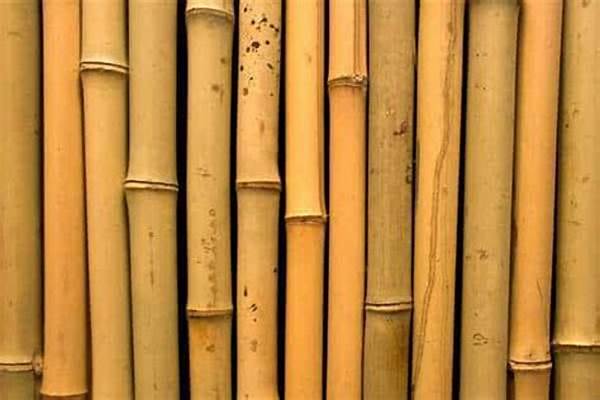 Bambu untuk Bangunan