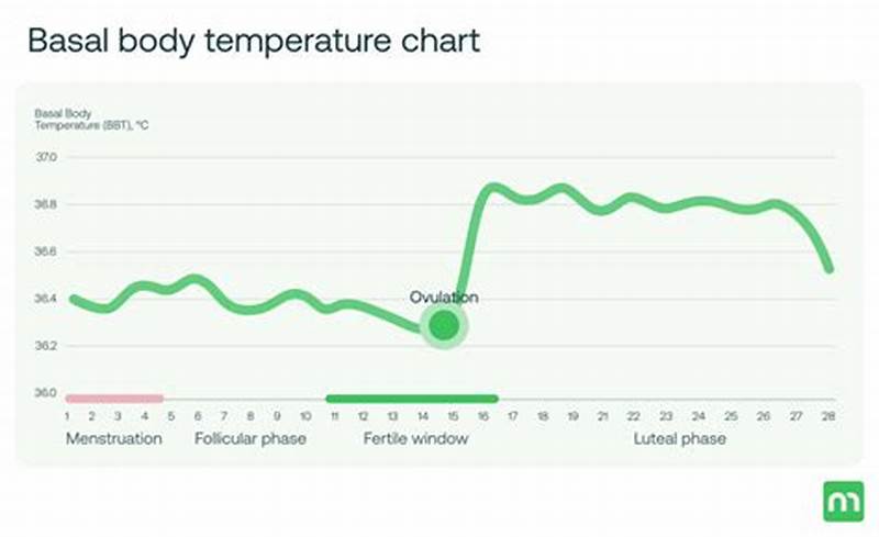 Basal Temp Chart Example