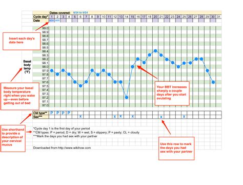Basal Temperature Chart Pregnant Example
